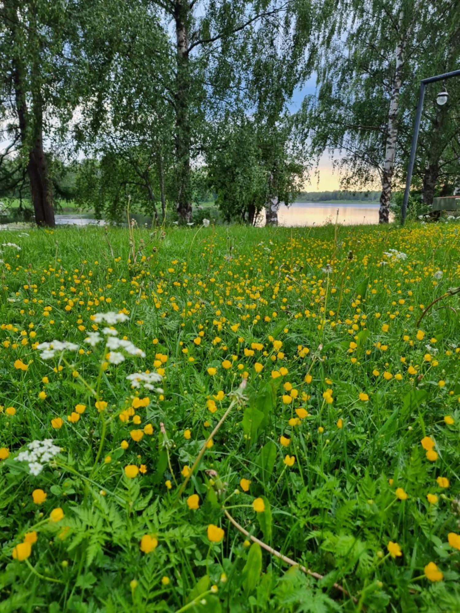 Wanha Kunnantalo Apartment Pudasjarvi Luaran gambar
